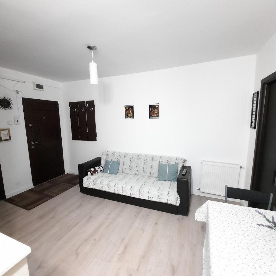 Apartament Kepa Din Piatra Neamţ 外观 照片